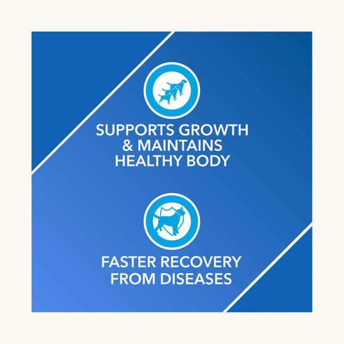 Drools Absolute Vitamin Supplement Tablets for Dogs